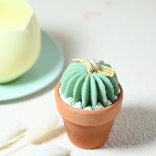 Cactus Pot Candle