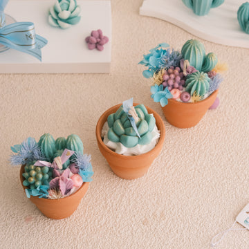 Miss Blooms Mini Pots Trio Cactus Candle — set of three terracotta pot soy candles with teal cactus and succulent garden, Australian Bush scent handmade Canberra