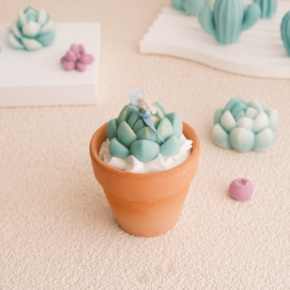 Mini Pots Trio single pot — green echeveria succulent wax candle in terracotta pot by Miss Blooms, Australian Bush Lemongrass soy candle Canberra