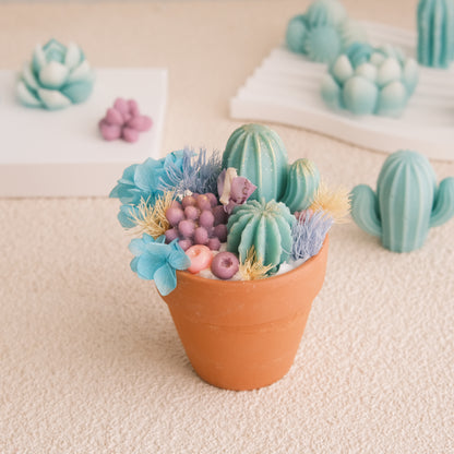 Mini Pots Trio Cactus Candle terracotta pot with barrel cactus and botanicals — Miss Blooms handmade soy candle with Australian Bush fragrance, Canberra