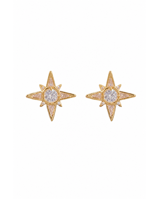 Zircon Star Gold with Sterling Silver Posts Earring 1