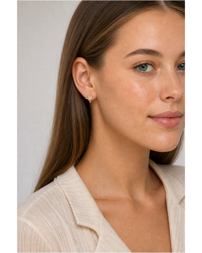 Zircon Star Gold with Sterling Silver Posts Earring 3